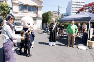 18111342_1269650576466371_696318885_o